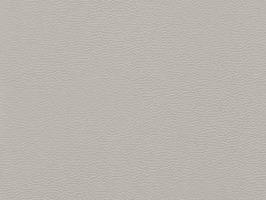 Importer leather 88 leathercollection 系列 真皮 牛皮 沙發皮革 8839 白霧灰